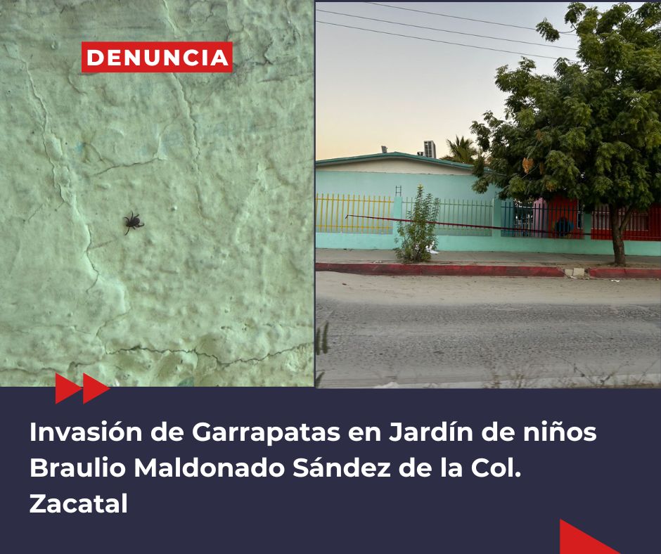 Presencia de Garrapatas en Jardín de Niños pone en jaque a padres de familia